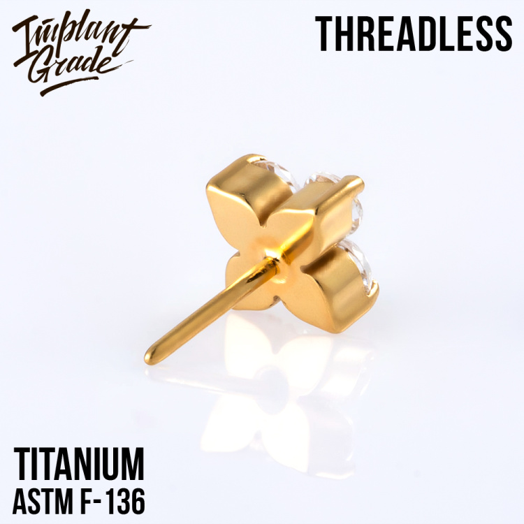 Топ Mily Безрезьбовой Implant Grade титан Топ Mily Безрезьбовой Implant Grade титан