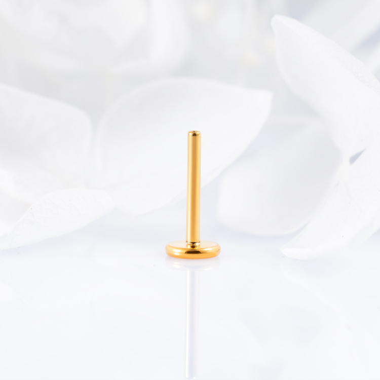 Ножка без резьбы Gold Implant Grade 1 мм титан+PVD, основа 4 мм Ножка без резьбы Gold Implant Grade 1 мм титан+PVD, основа 4 мм