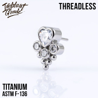 Топ Love Paw Безрезьбовой Implant Grade титан