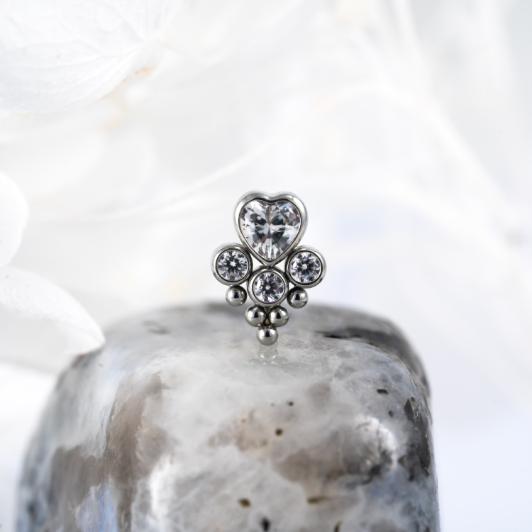 Топ Love Paw Безрезьбовой Implant Grade титан