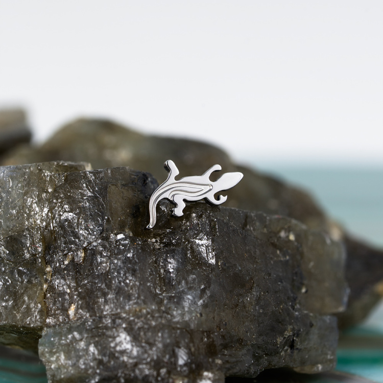 Топ Lizard Безрезьбовой Implant Grade титан Топ Lizard Безрезьбовой Implant Grade титан