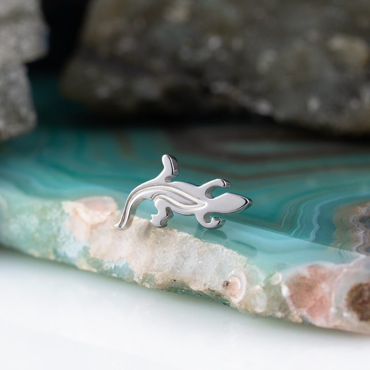 Топ Lizard Безрезьбовой Implant Grade титан Топ Lizard Безрезьбовой Implant Grade титан