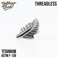 Топ Fern Безрезьбовой Implant Grade титан