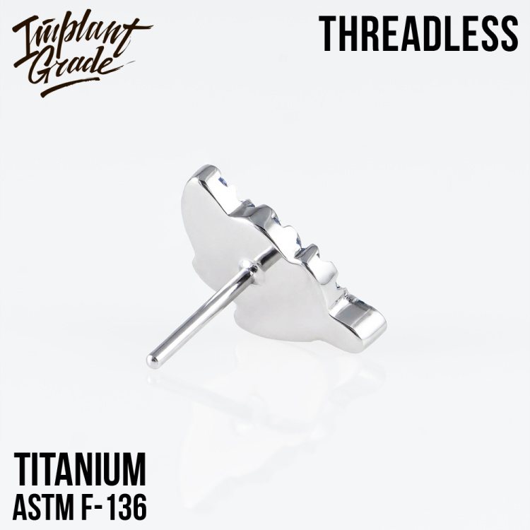 Топ Fern Безрезьбовой Implant Grade титан