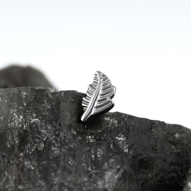 Топ Fern Безрезьбовой Implant Grade титан