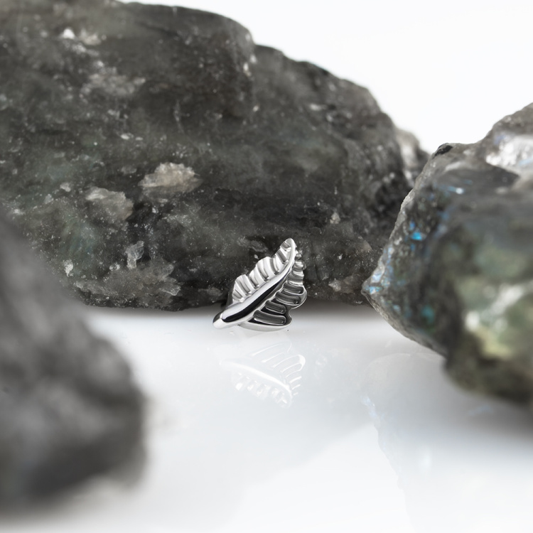 Топ Fern Безрезьбовой Implant Grade титан