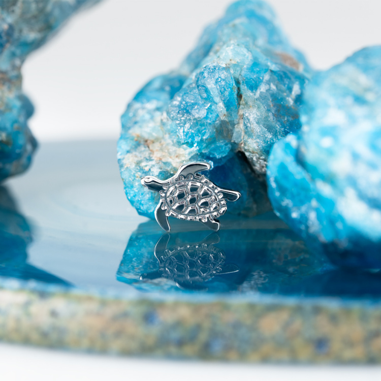 Топ Turtle Безрезьбовой Implant Grade титан Топ Turtle Безрезьбовой Implant Grade титан