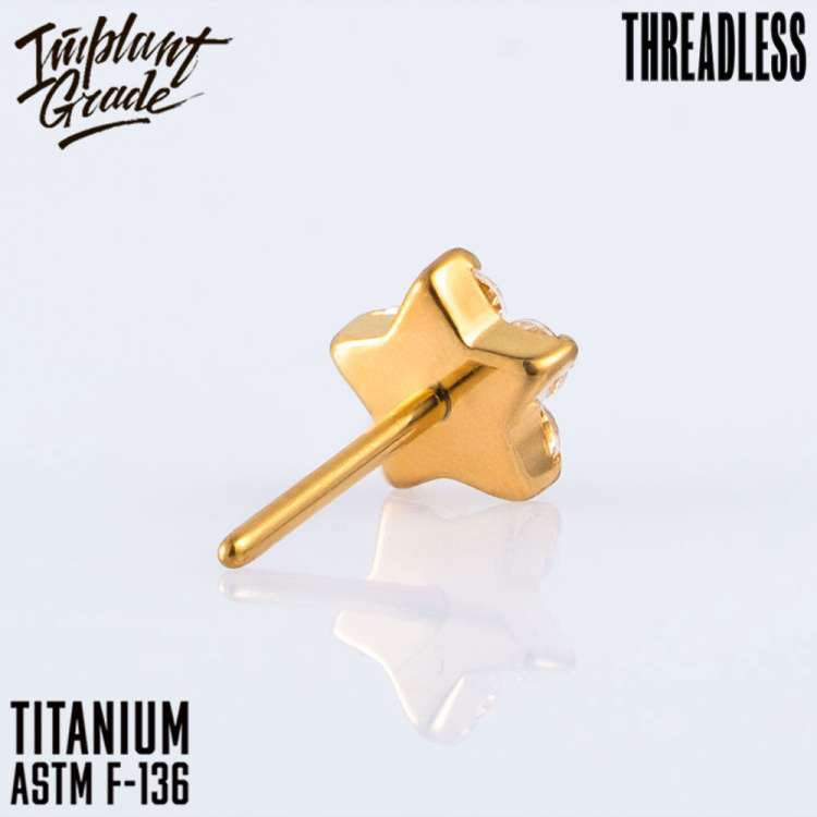 Топ Petit Безрезьбовой Implant Grade титан Топ Petit Безрезьбовой Implant Grade титан