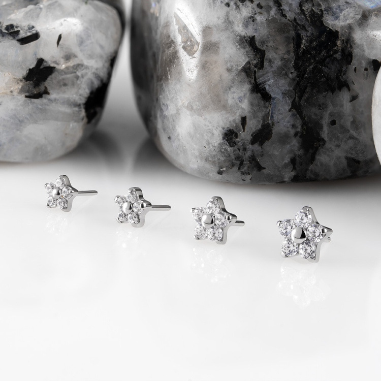 Топ Petit Безрезьбовой Implant Grade титан