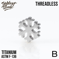 Топ snowflake Безрезьбовой Implant Grade титан