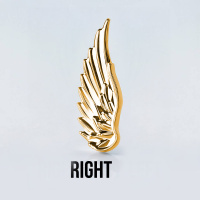 Накрутка Angel Wing Implant Grade 1.2 мм титан