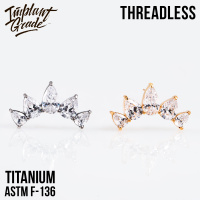 Топ Diadem Безрезьбовой Implant Grade титан