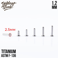 Ножка лабрета mini Implant Grade 1.2 мм титан, основа 2.5 мм