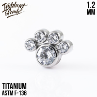 Накрутка Teddy Paw Implant Grade 1.2 мм титан