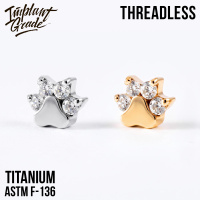 Топ Paw Crystal Безрезьбовой Implant Grade титан