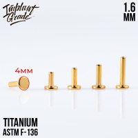 Ножка лабрета Gold Implant Grade 1.6 мм титан+PVD, основа 4 мм
