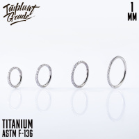 Кольцо-кликер Twilight Implant Grade 1 мм титан