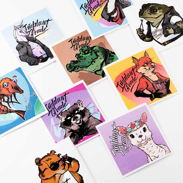 Стикерпак (9 шт)