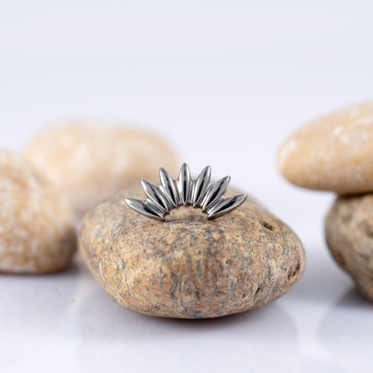 Топ Allie Безрезьбовой Implant Grade титан 