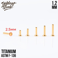 Ножка лабрета Gold mini Implant Grade 1.2 мм титан+PVD, основа 2.5 мм