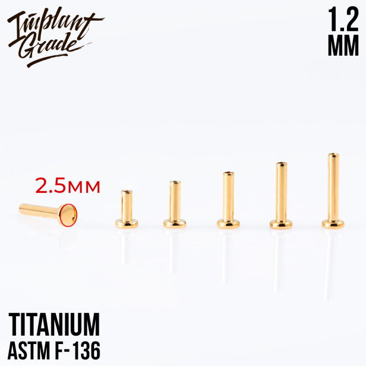 Ножка лабрета Gold mini Implant Grade 1.2 мм титан+PVD, основа 2.5 мм