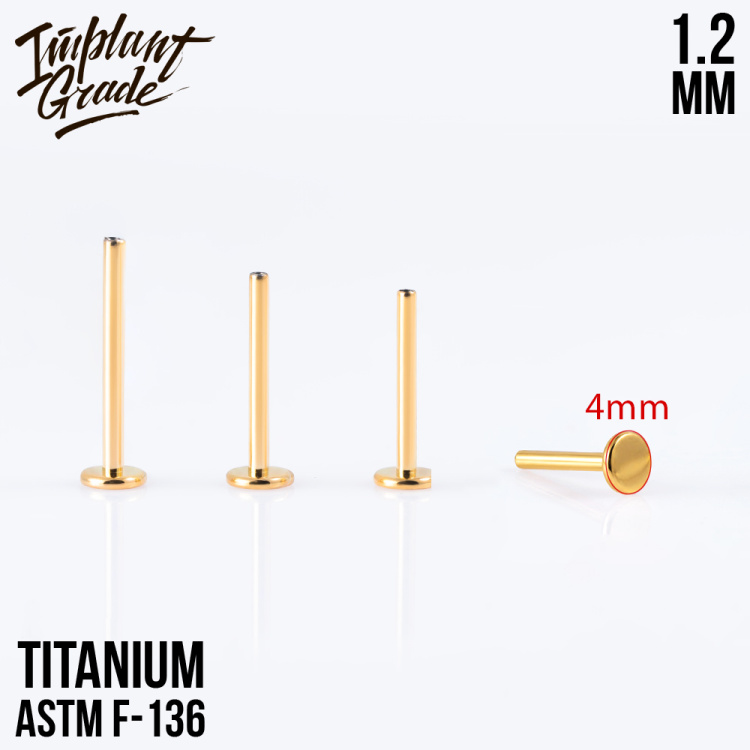 Ножка лабрета Gold Implant Grade 1.2 мм титан+PVD, основа 4 мм Ножка лабрета Gold Implant Grade 1.2 мм титан+PVD, основа 4 мм