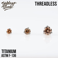 Топ Champagne Безрезьбовой в лапках Implant Grade титан