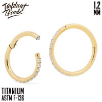 Кольцо-кликер Twilight Gold Implant Grade 1.2 мм титан+PVD