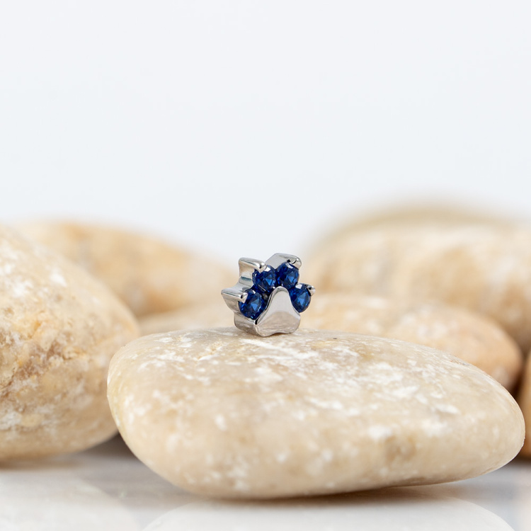 Накрутка Paw Implant Grade 1.6 мм титан