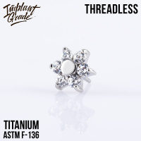 Топ Snow Flower Безрезьбовой Implant Grade титан